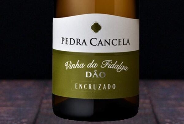 VINHO PEDRA CANCELA
