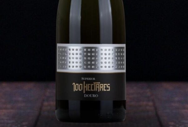 Vinho 100 hectares superior 2019